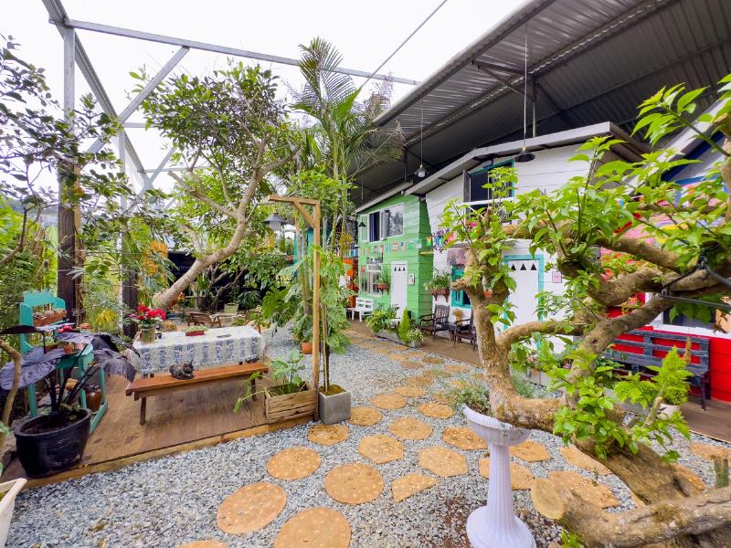 Cơn mưa chiều lãng đãng ở Đà Lạt tháng 6, du khách che ô đi bộ